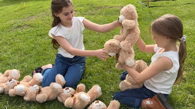 Amazon.com: MaoGoLan 7Pcs Bulk Teddy Bears Stuffed Animals Baby